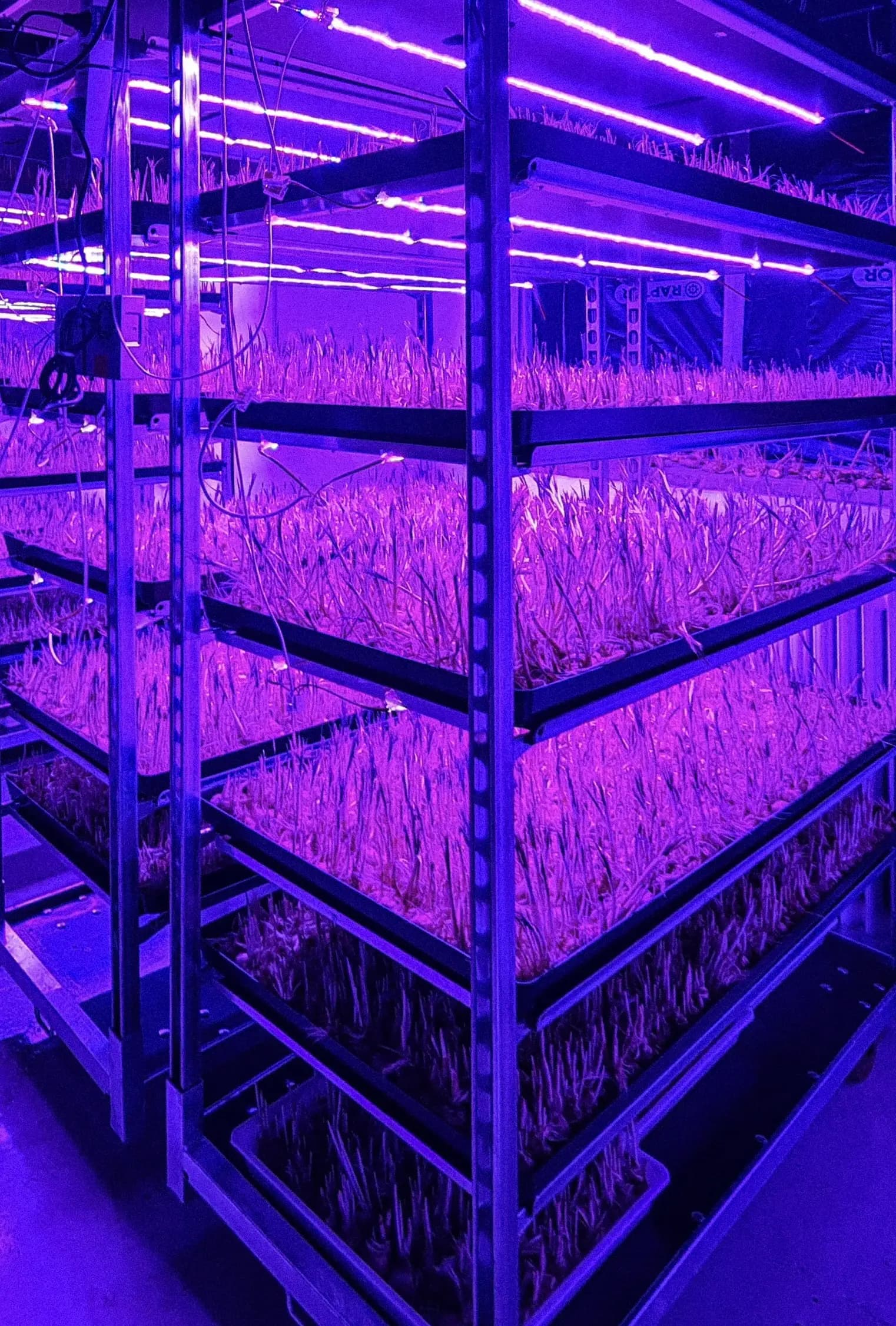 Production