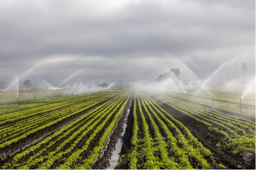 5. Irrigation Management
