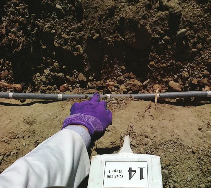 1. Rich Soil Preparation